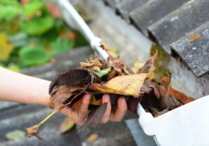 Gutter cleaning service protecting homes from water damage